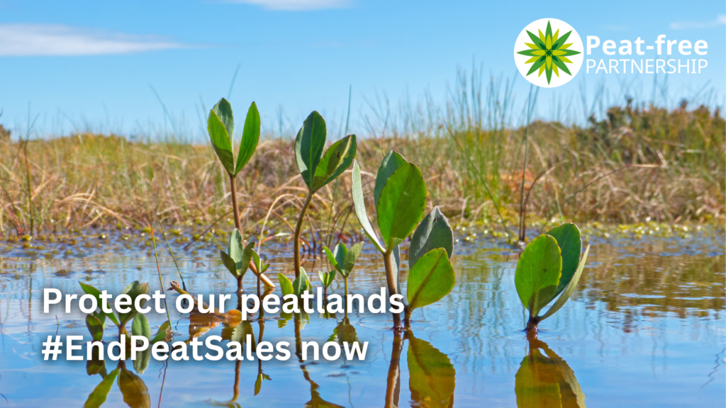 Peat-free campaign partnership - Protect our peatlands