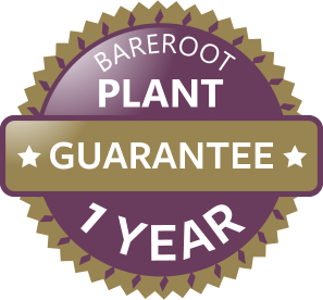 Bareroot Plants Guarantee 1 Year