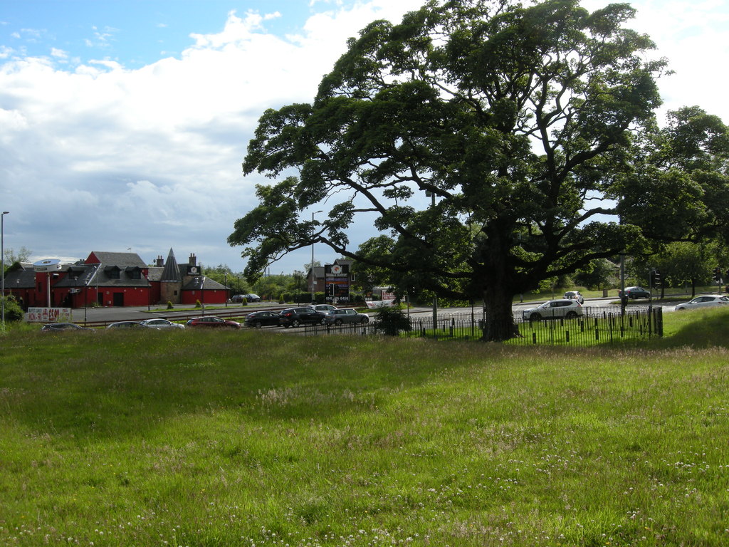 darnley sycamore glasgow