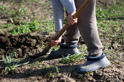 planting slit trench