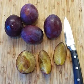 plum tree fruit