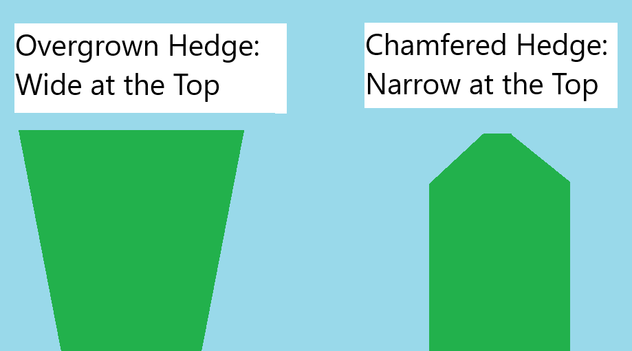 chamfered hedge before and after cross section