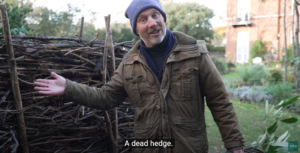 nick-turrel-rhs-dead-hedge